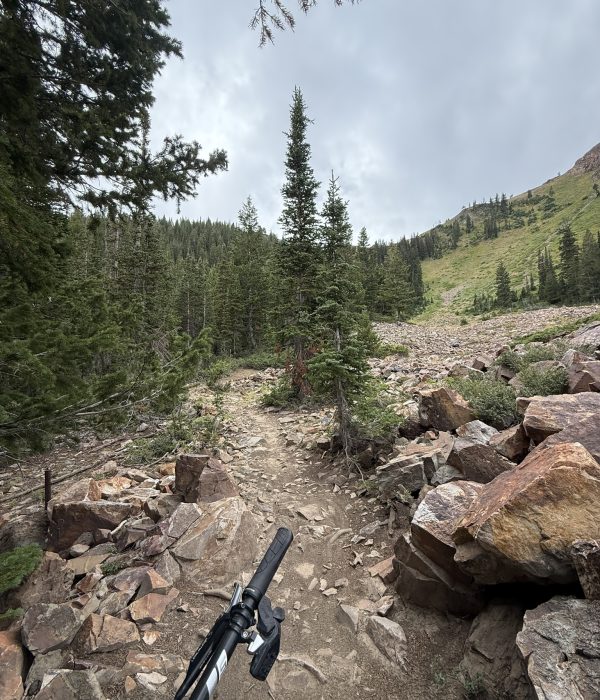 165440F5-B6D1-46E2-88E3-6365705BD3B1_1_102_o