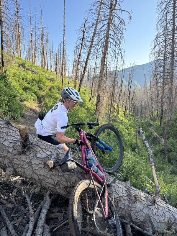 287069DB-8436-47D7-B950-D40C708F8BE0_1_105_c